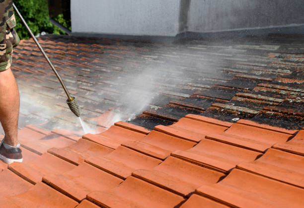 Best Residential Pressure Washing Services  in Camas, WA