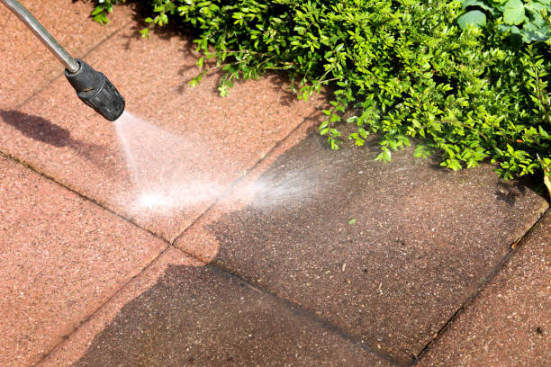 Best Affordable Pressure Washing  in Camas, WA